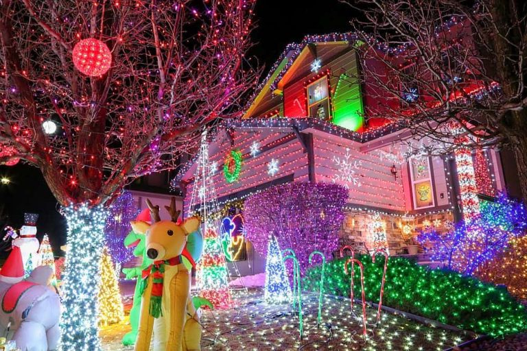 Light Up Your Holiday Season with Brilliant Christmas Lights